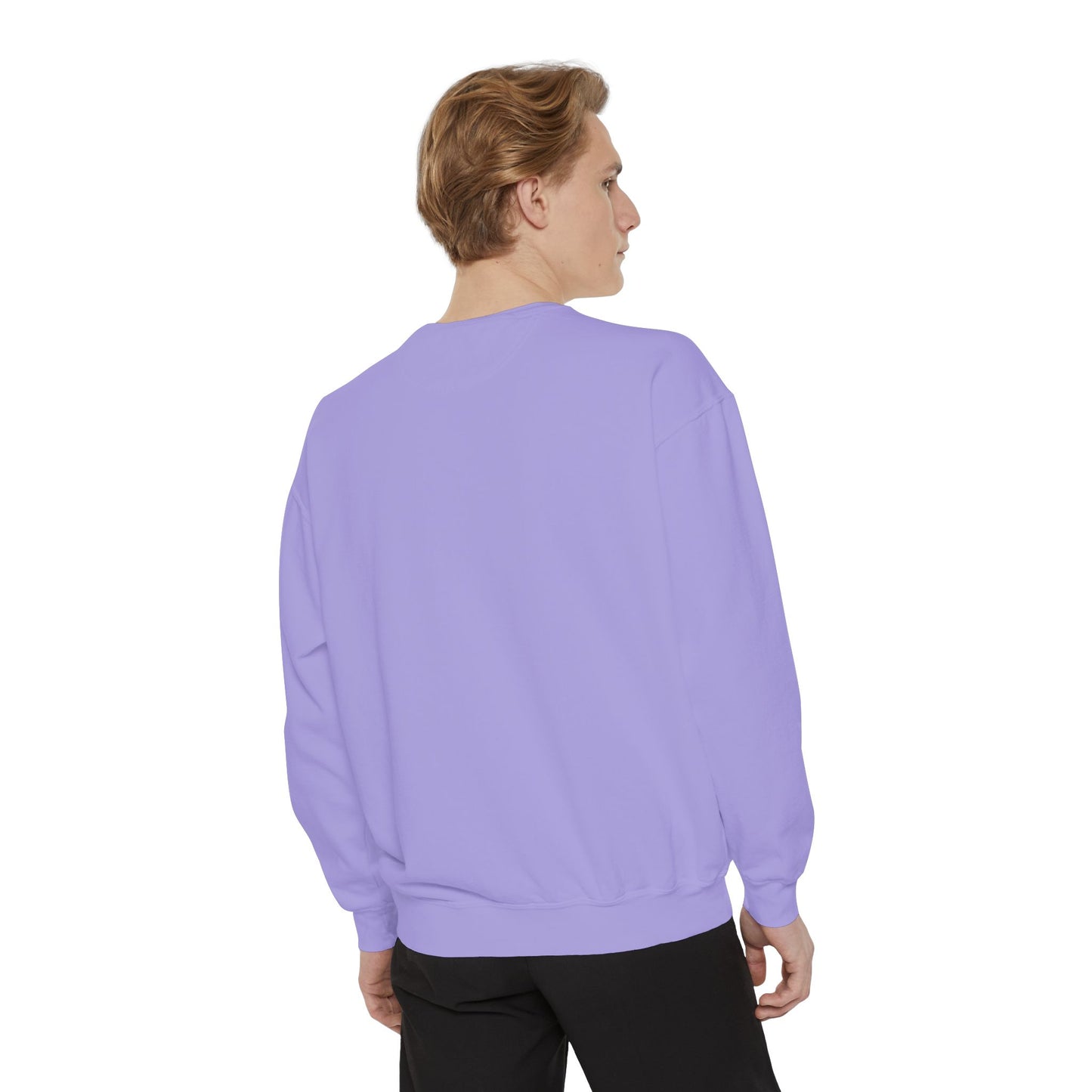 Ravens' Tree Hill Crew Neck Comfort Colors Sweatshirt - One Tree Hill Ravens Themed Shirt - OG Character Names
